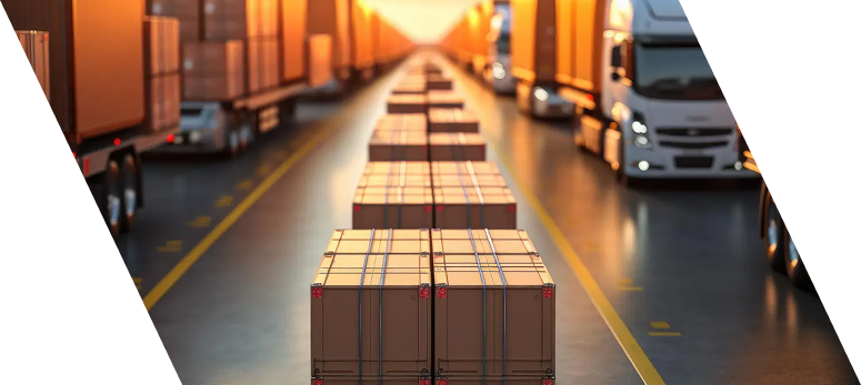 Authorized Economic Operator (AEO) Status Consultancy