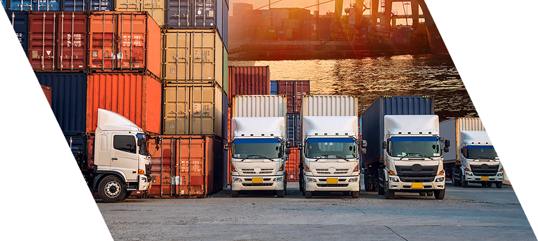 Road Freight Services